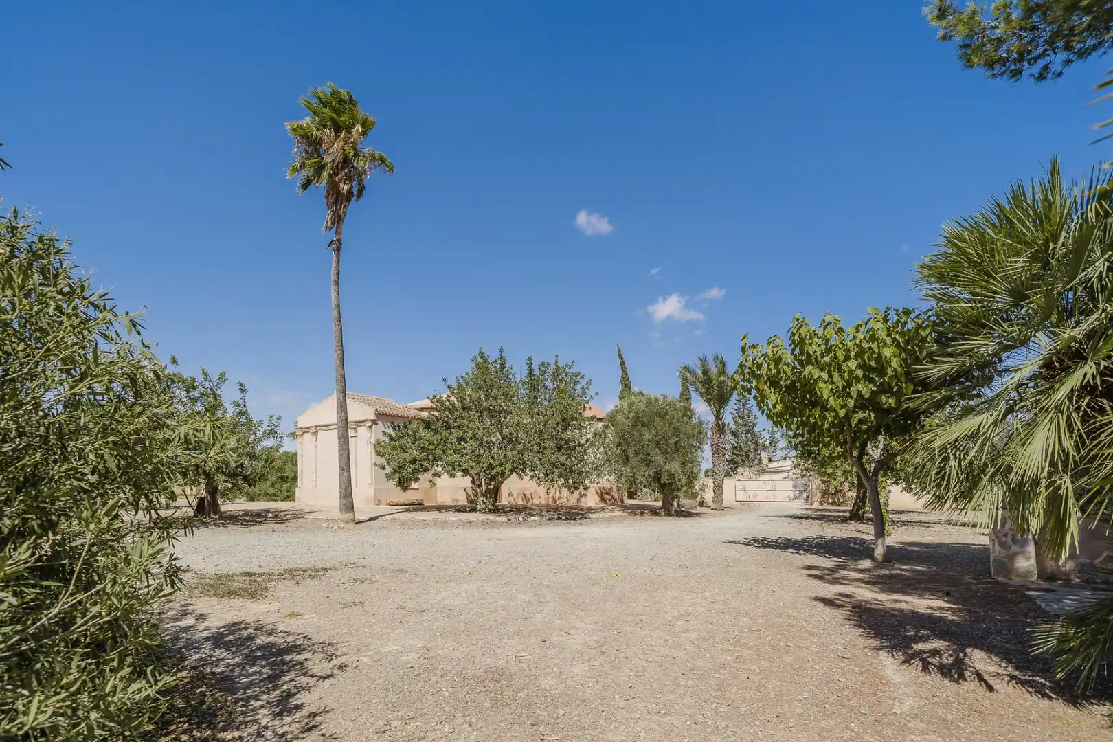 Casa en venta en Balsicas, imagen 32