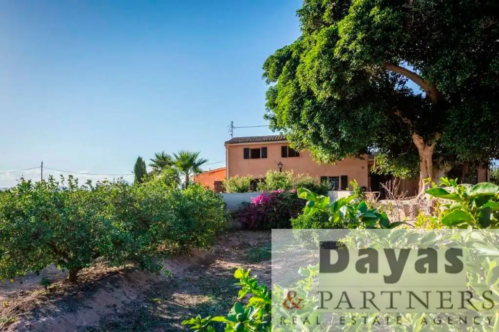 Exterior view of Houses for sale in Orihuela  with Private garden, Terrace and Swimming Pool