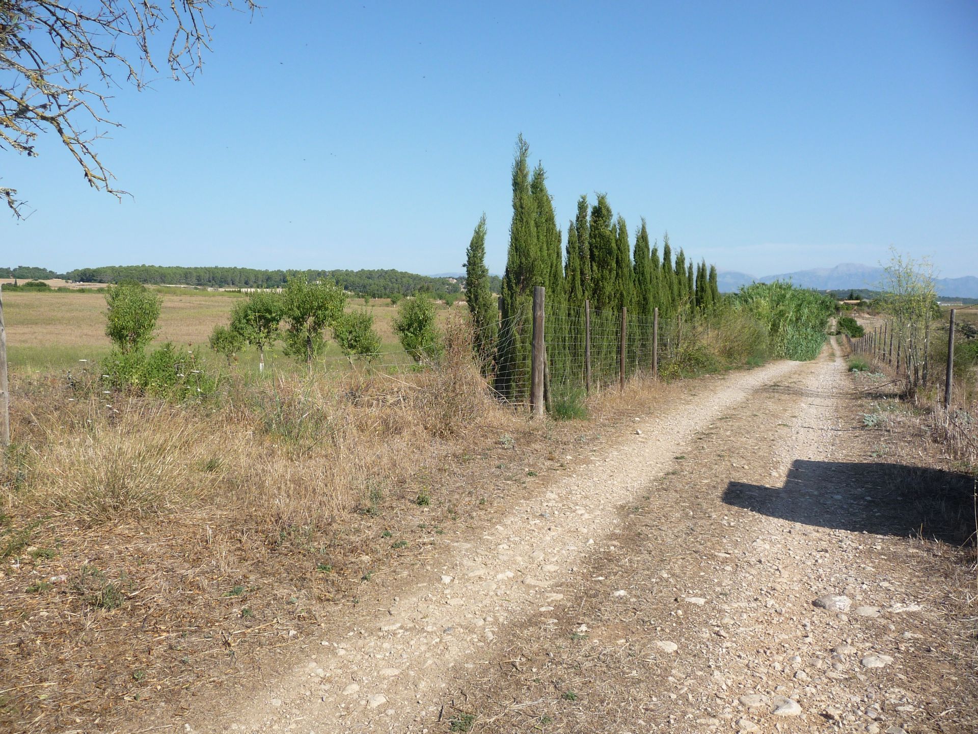 Residencial en venda en Algaida