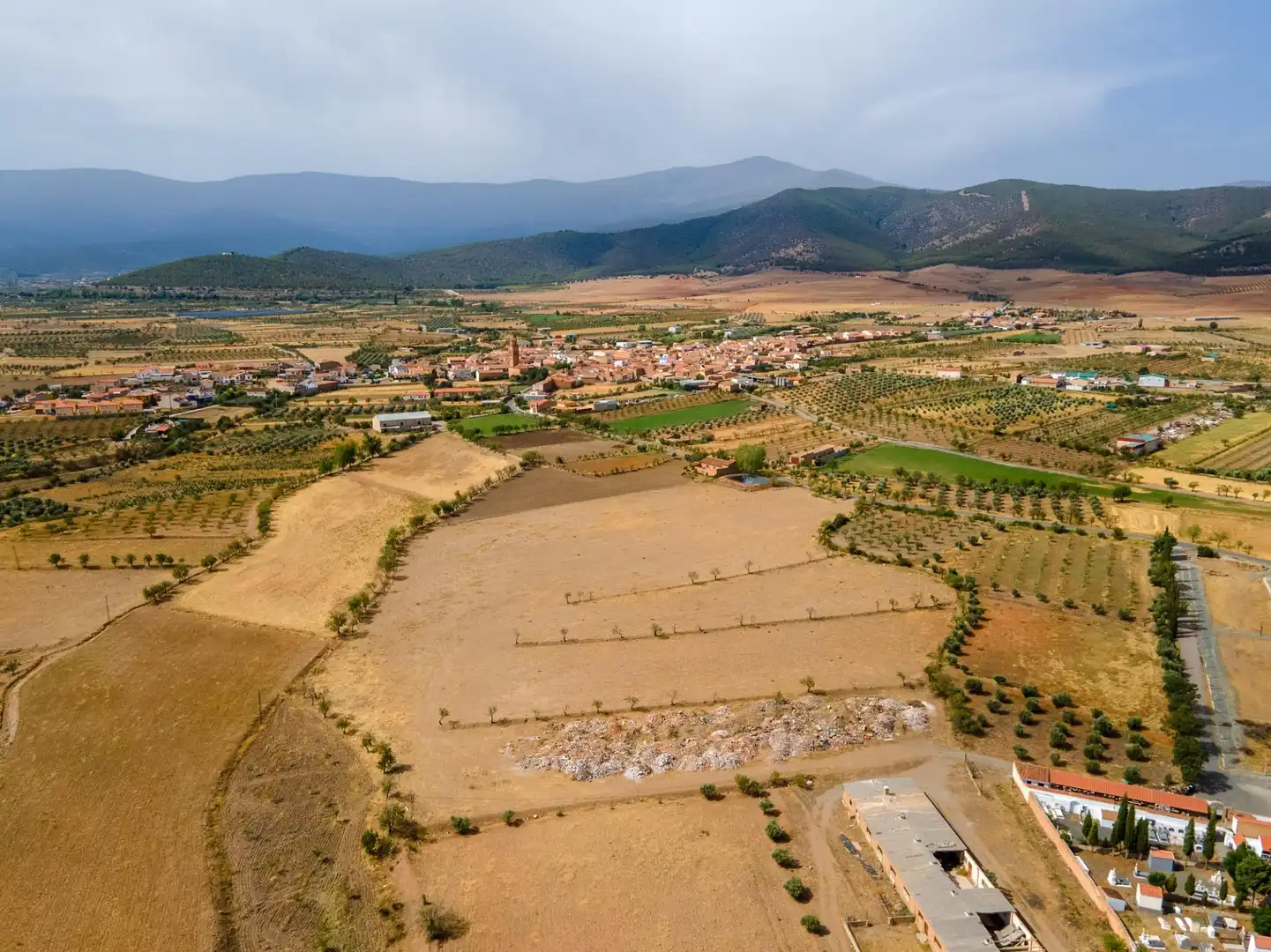 Terreno en venta en Cogollos de Guadix
