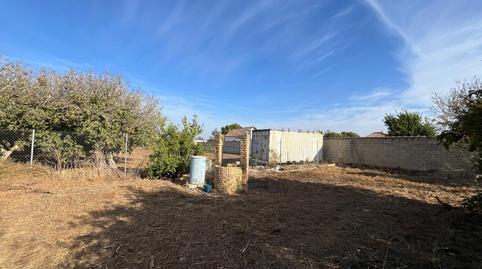 Photo 5 of Land for sale in  Hozanejos Pago Huno , Pelagatos - Pago del Humo, Cádiz