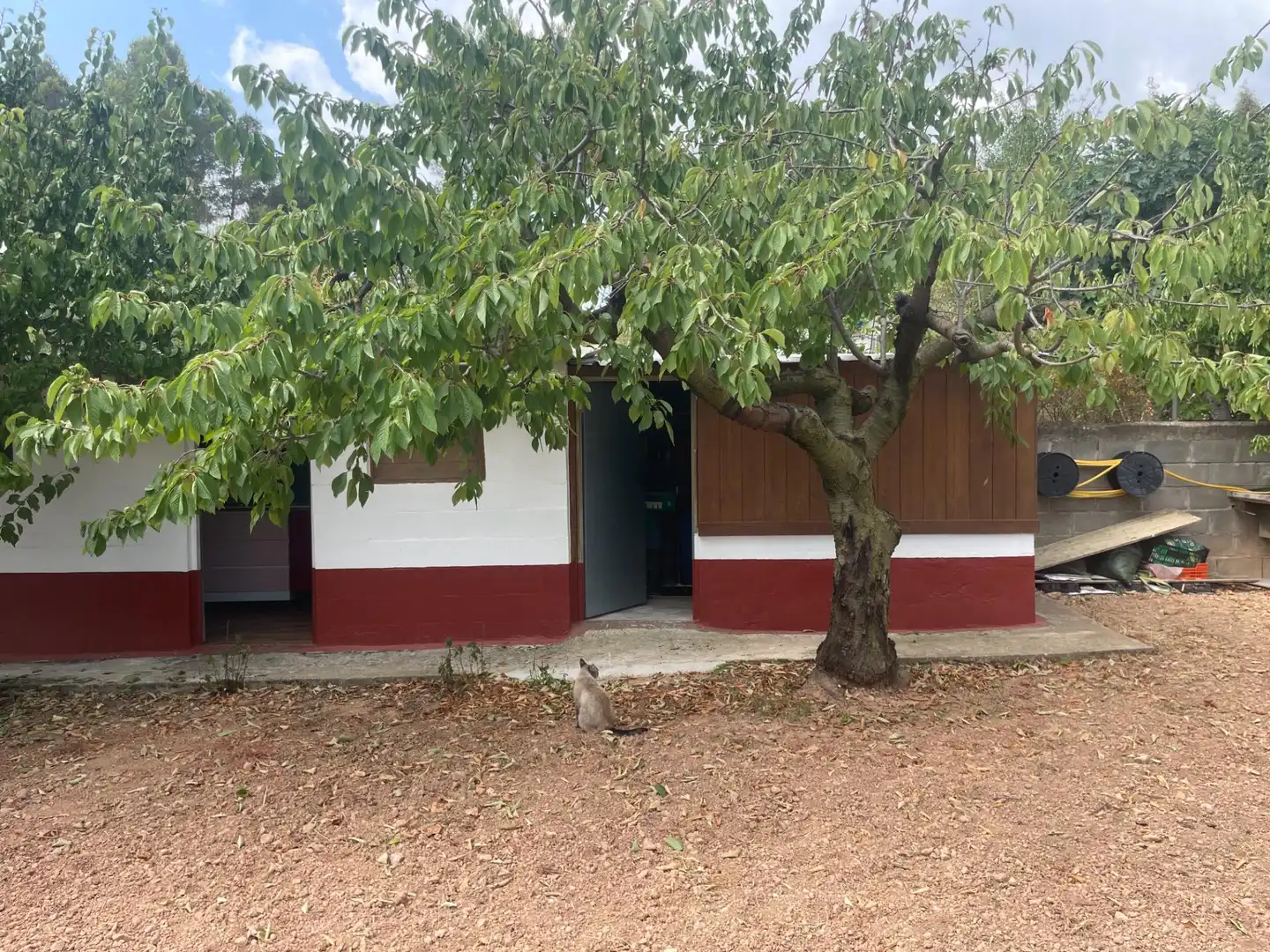 Terreno residencial en venta en Carrer CASTILLO CABRER, imagen 21