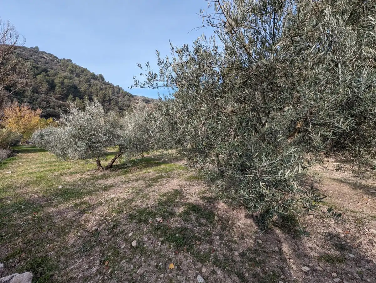 Casa rustica in vendita a Montefrío, imagen 13