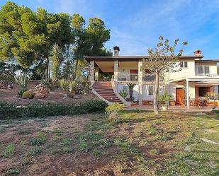 Vista exterior de Casa o xalet en venda en Elche / Elx amb Jardí privat, Terrassa i Piscina