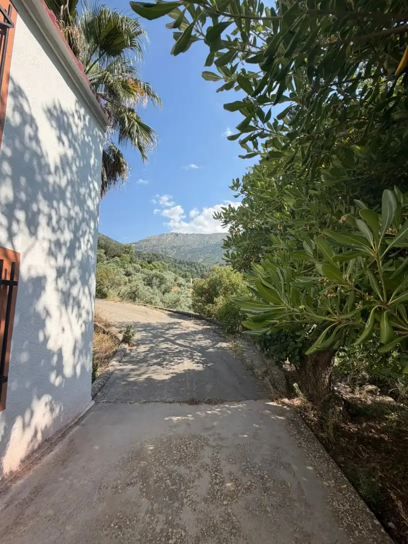Vista exterior de Finca rústica en venta en Los Villares con Terraza, Trastero y Piscina