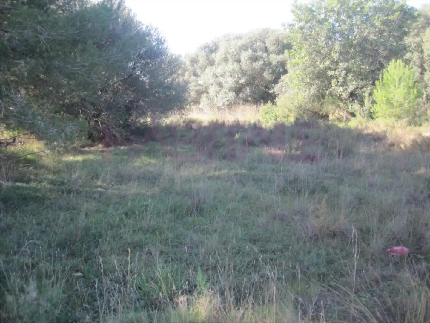 Residential for sale in Manises