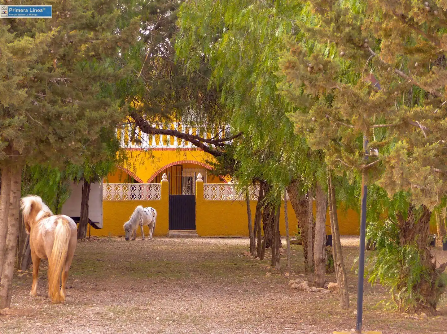Vista exterior de Finca rústica en venda en Fuente Álamo de Murcia amb Calefacció, Jardí privat i Terrassa