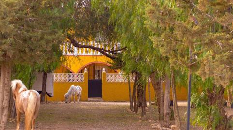 Foto 2 de Finca rústica en venta en La Pinilla - Las Palas, Murcia
