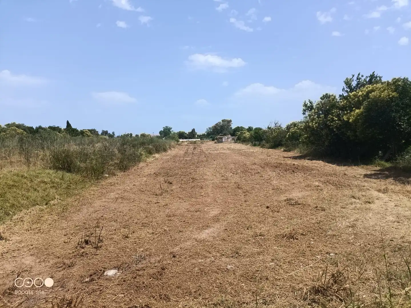 Rural land for sale in Carretera de la Donació, imagen 6
