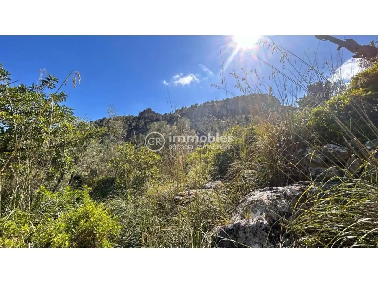 Country homes for sale in Alaró