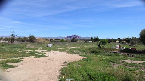 Foto 3 de Finca rústica en venda a Calle Calle Ponent, 70, La Huerta, Alicante
