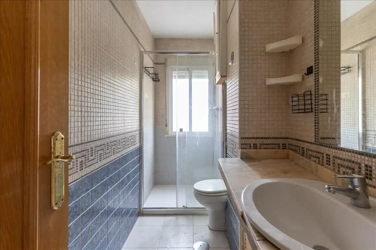Ground floor with lift for sale in Fernando Gabriel, imagen 3