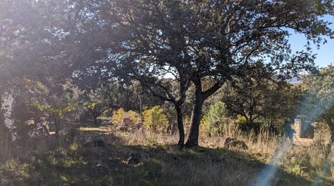 Foto 4 de Residencial en venda a Navalquejigo - Los Arroyos, El Escorial