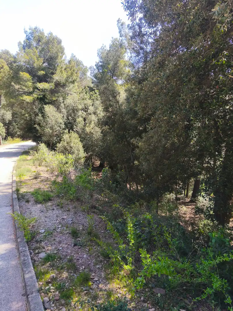 Terrain résidentiel à vendre à Carrer de la Font del Querol 19, imagen 16