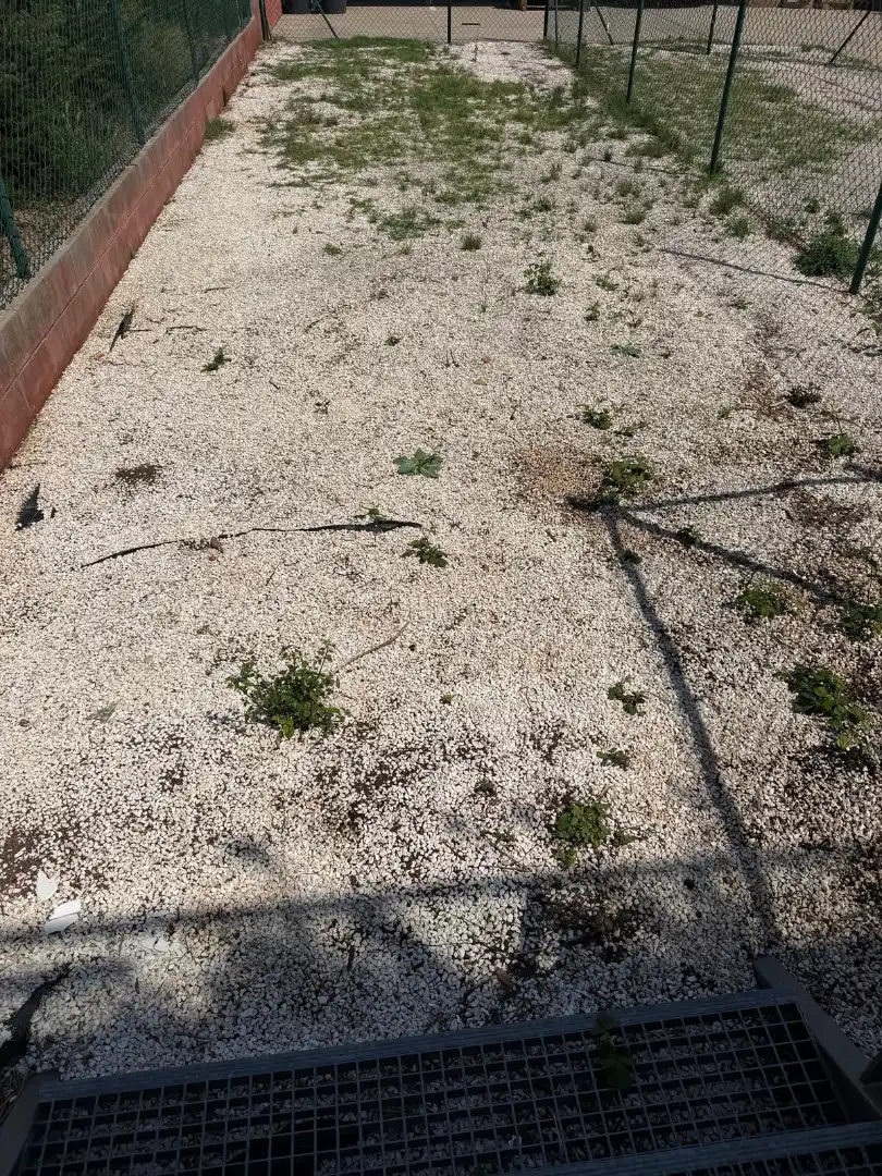 Flat with garden for sale in Sant Hilari Sacalm, imagen 13