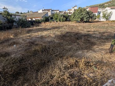 Terreny rústic en venda a Rute