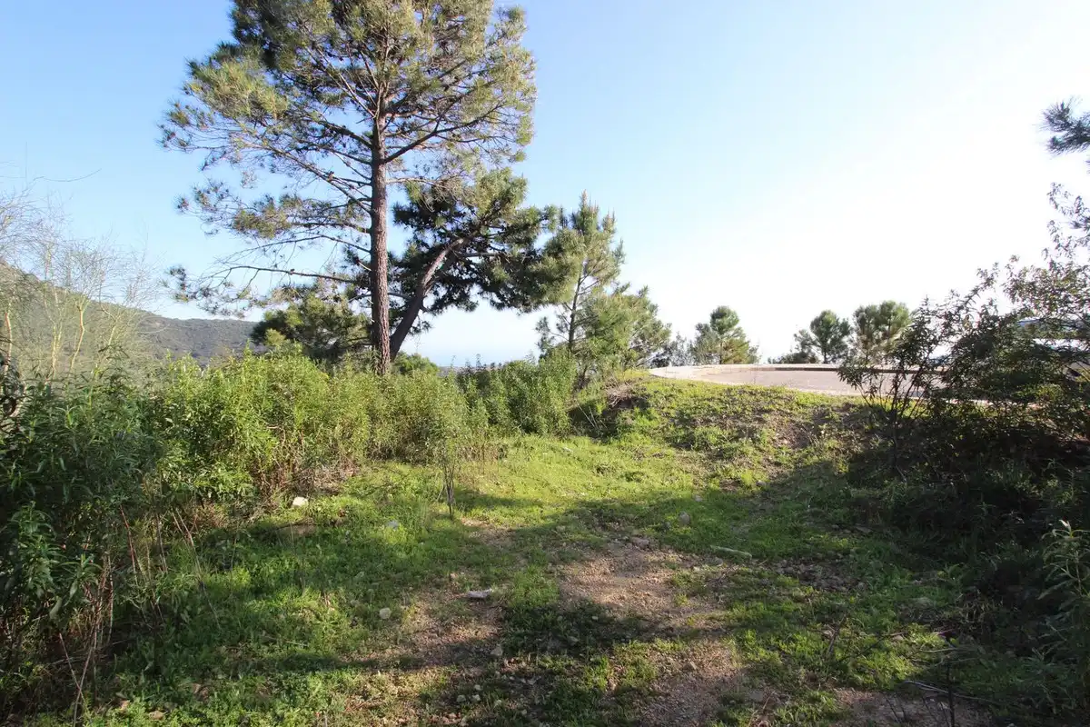 Terrenys i solars en venda a Montemayor - Marbella Club, imagen 11