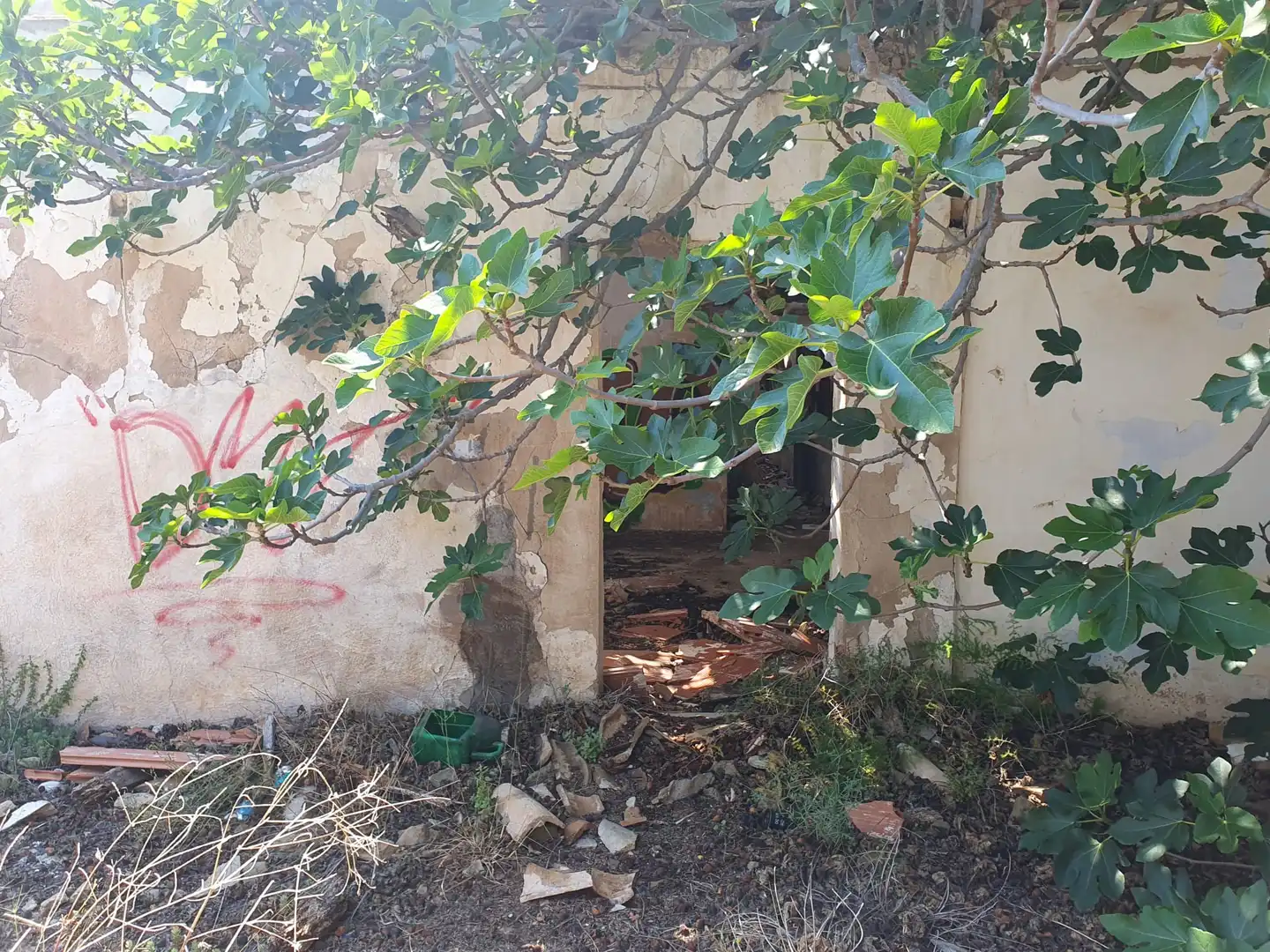 Terreno rústico en venta en Vilamarxant, imagen 7