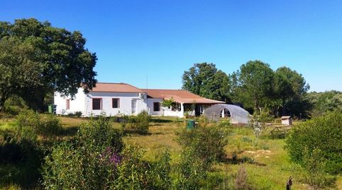 Foto 2 de Finca rústica en venda a El Ronquillo, Sevilla