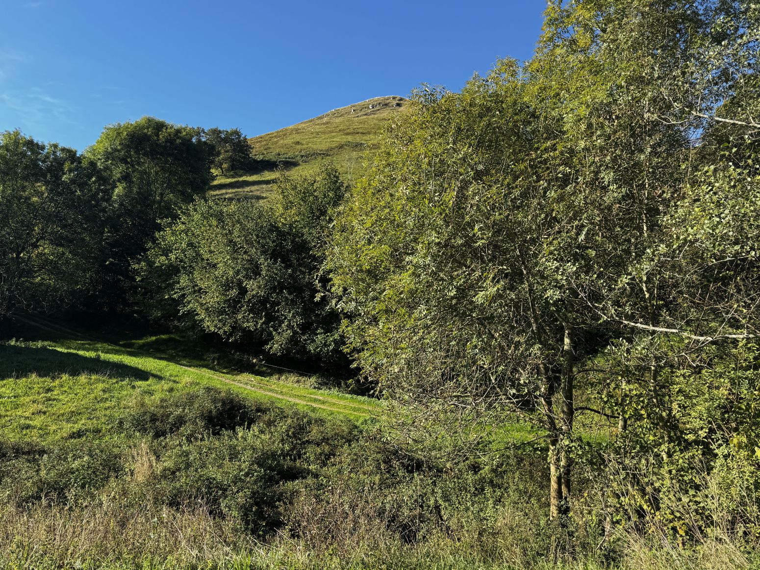 Exterior view of House or chalet for sale in San Roque de Riomiera  with Private garden