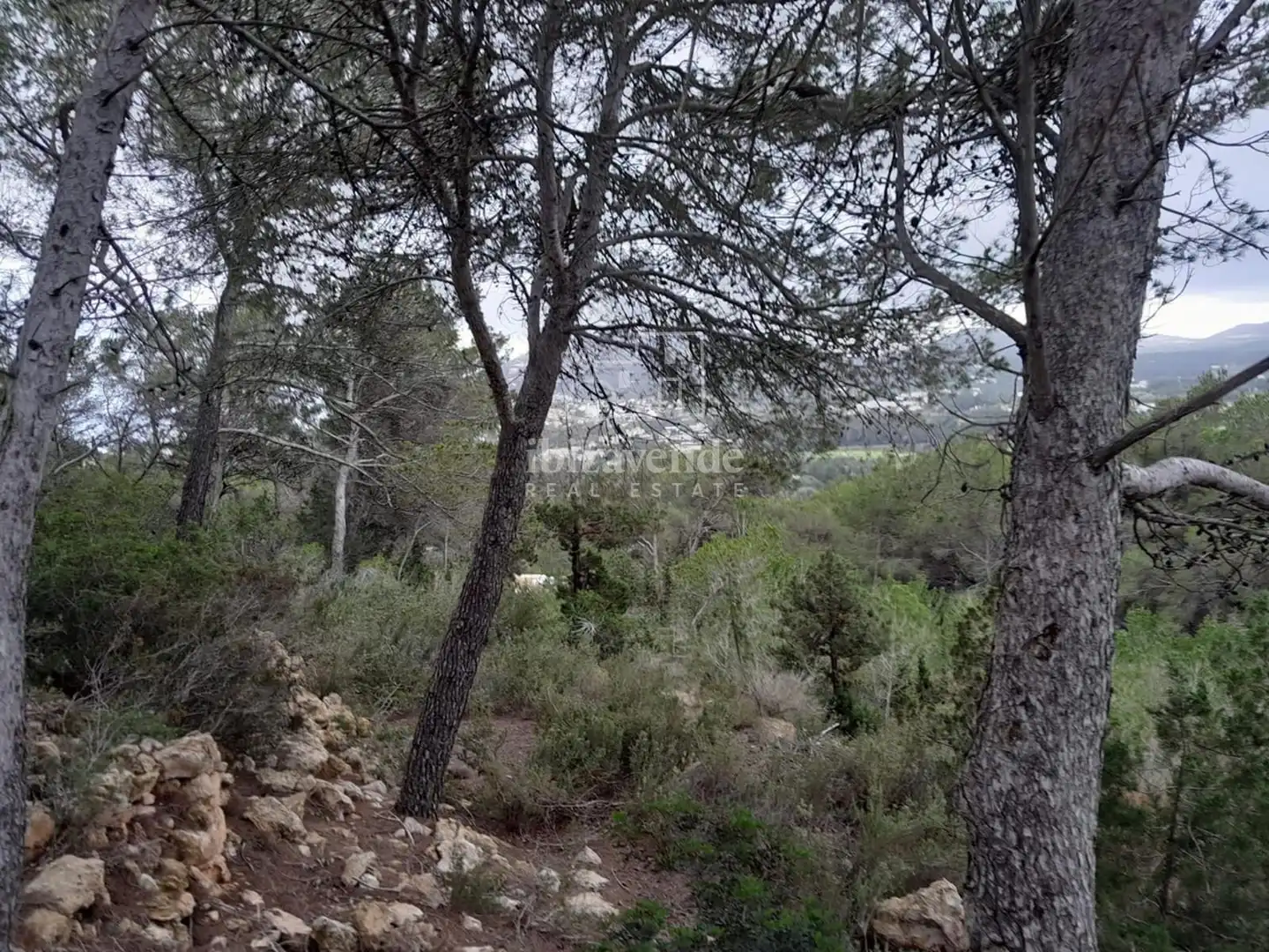 Casa o xalet en venda en Santa Eulària des Riu amb Jardí privat