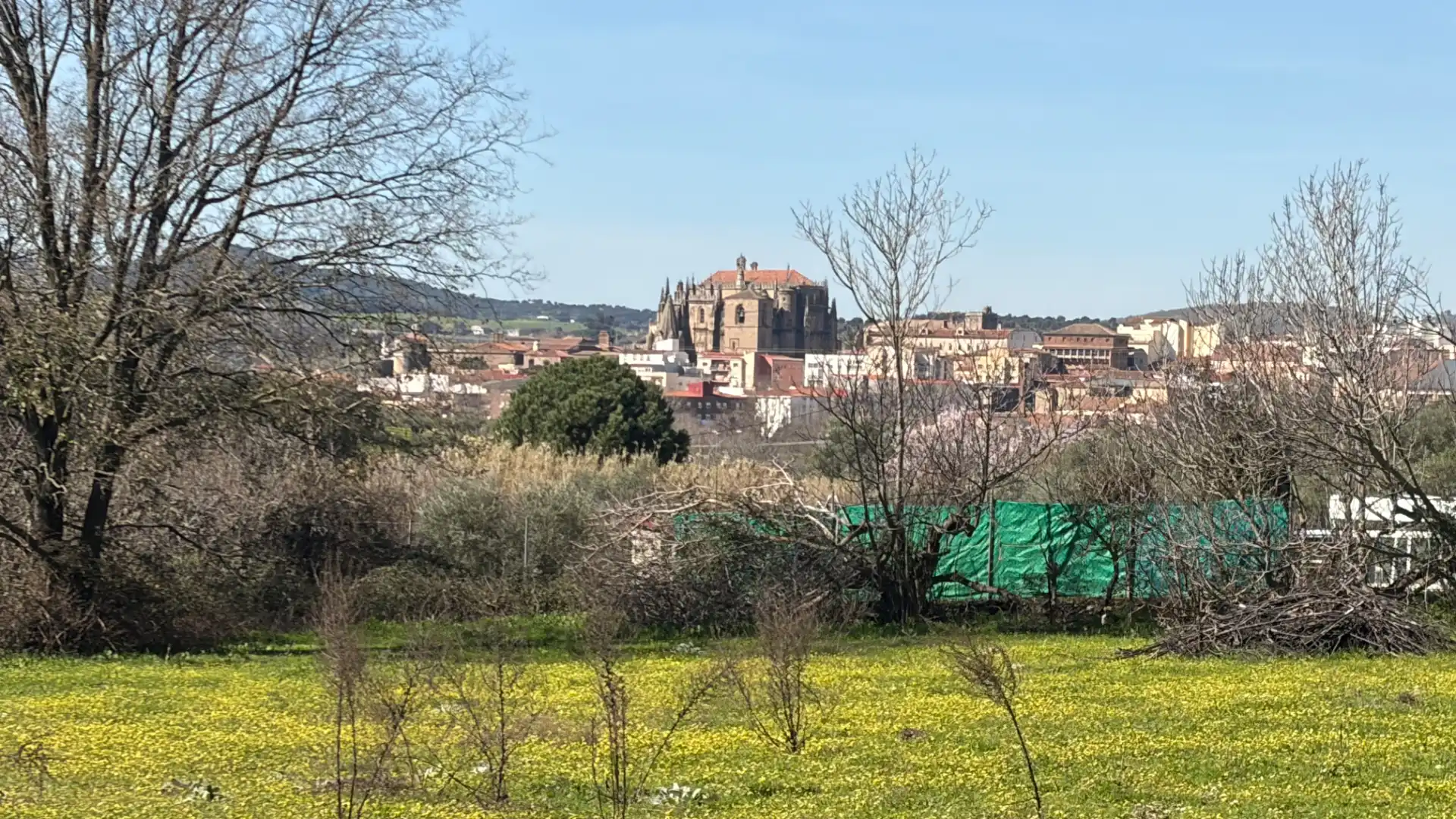 Vista exterior de Terreno en venta en Plasencia