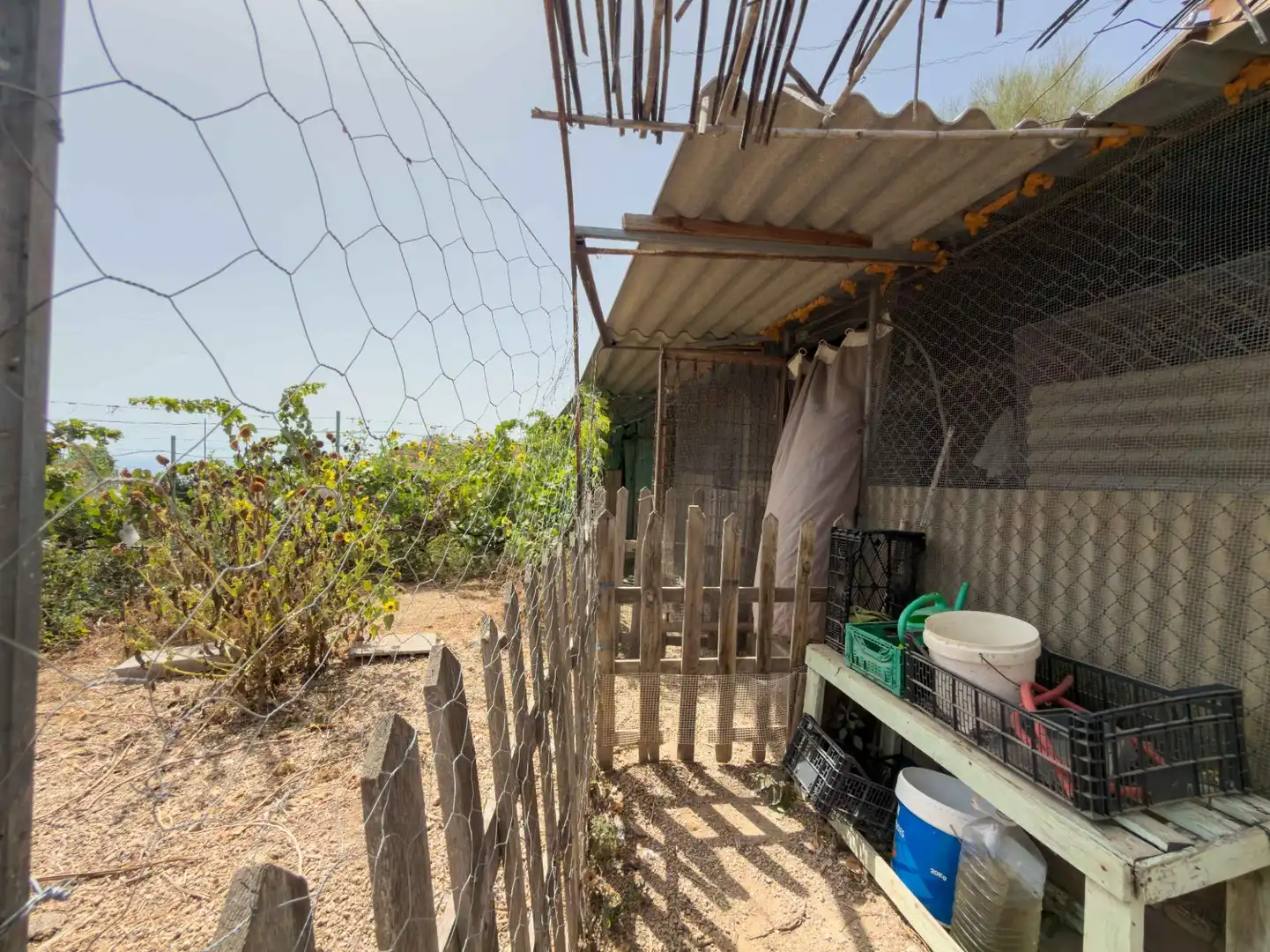 Finca rústica en venda en Güímar