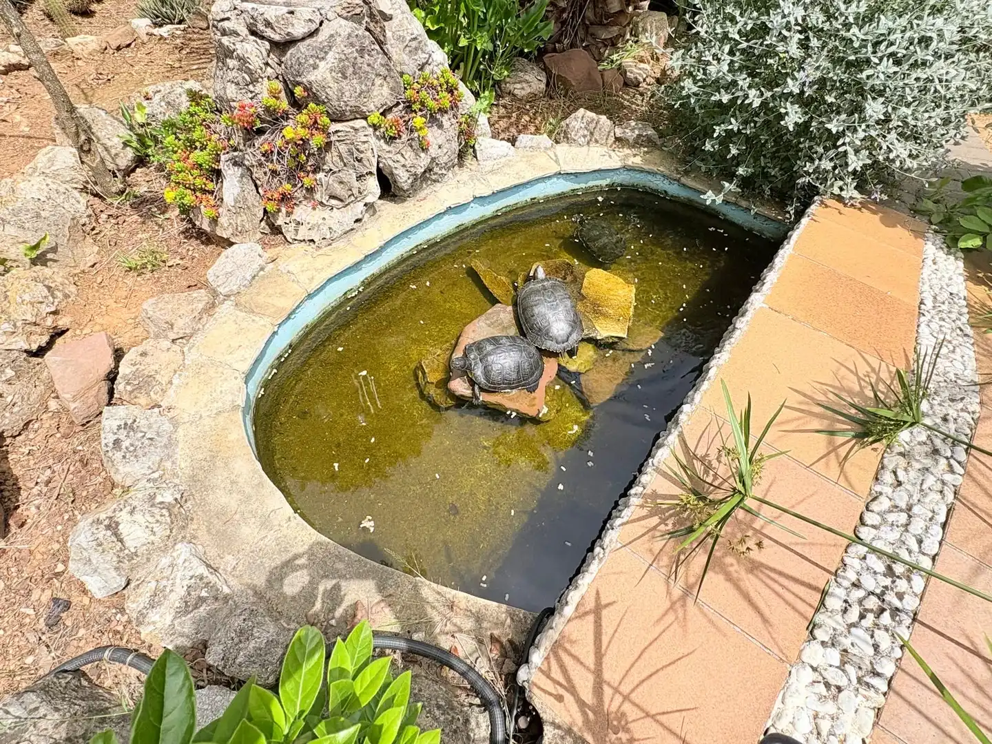 Jardín de Casa o chalet en venta en Corbera de Llobregat con Aire acondicionado, Calefacción y Jardín privado