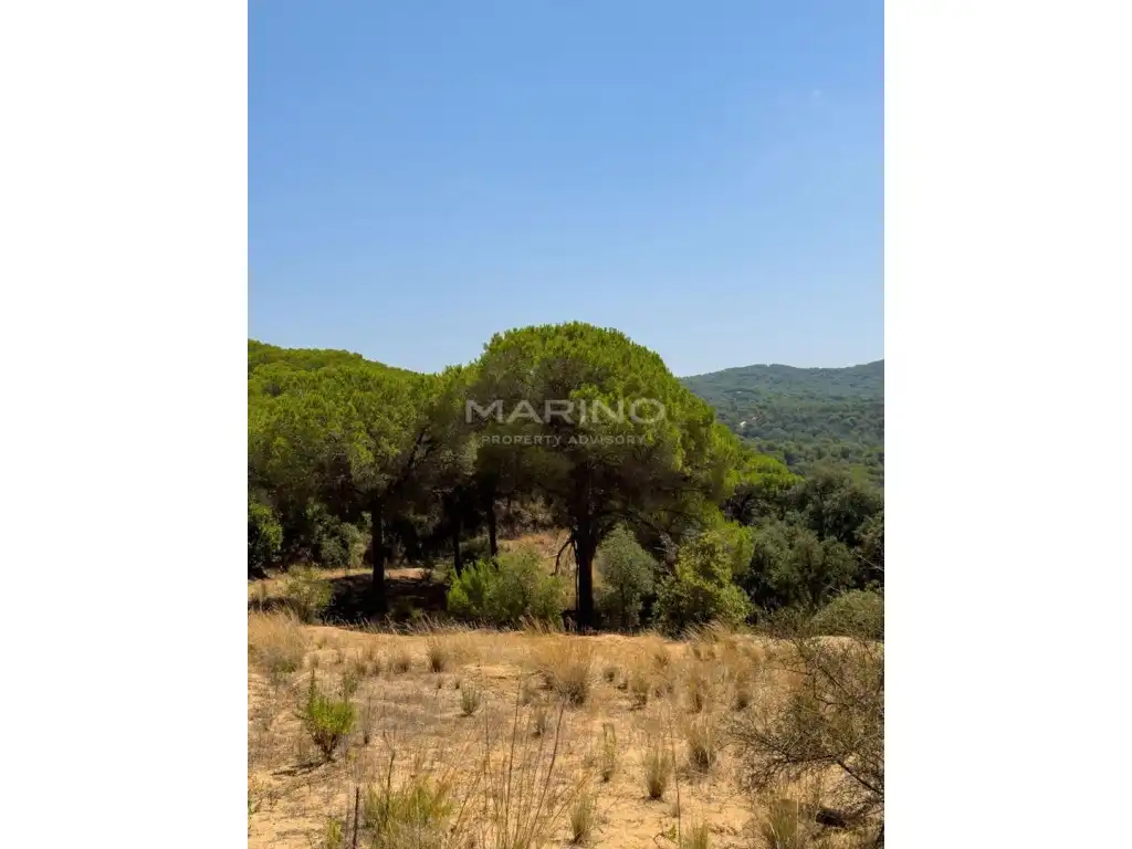 Finca rústica en venda en Tordera amb Jardí privat i Terrassa
