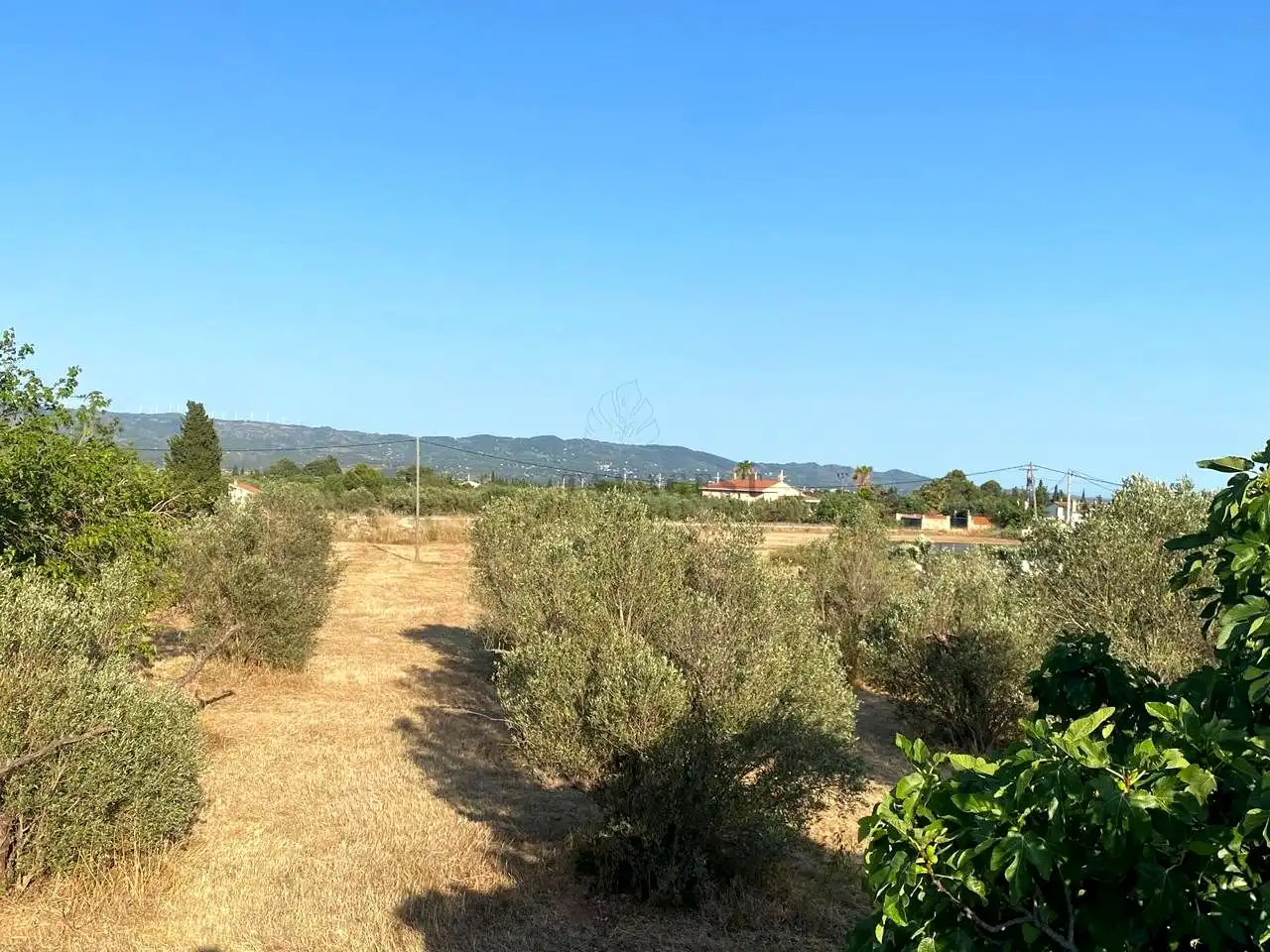 Finca rústica en venta en Aldover con Terraza y Piscina