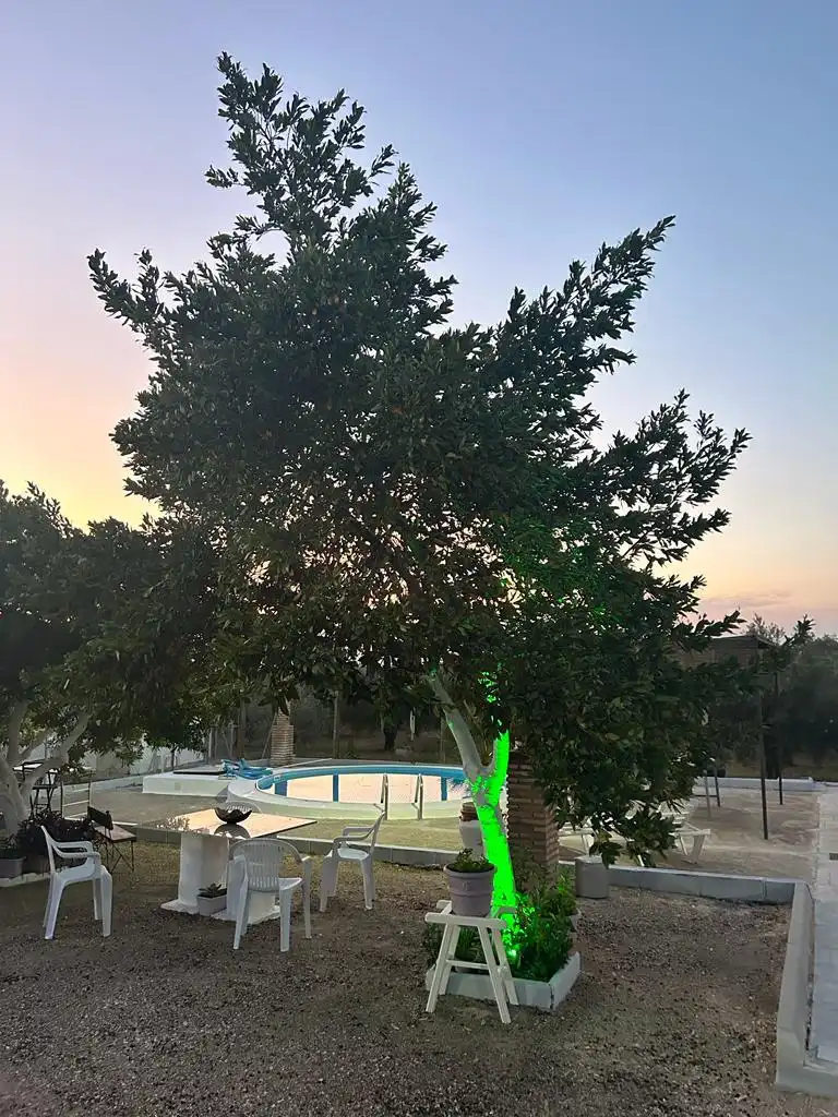 Piscina de Casa o xalet de lloguer en Montilla amb Jardí privat, Piscina i Moblat