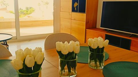 Photo 4 of Apartment to rent in Punta Prima, Alicante