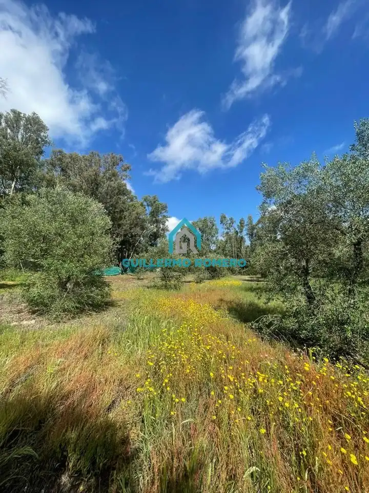 Terreni e lotti in vendita a La Puebla del Río, imagen 5