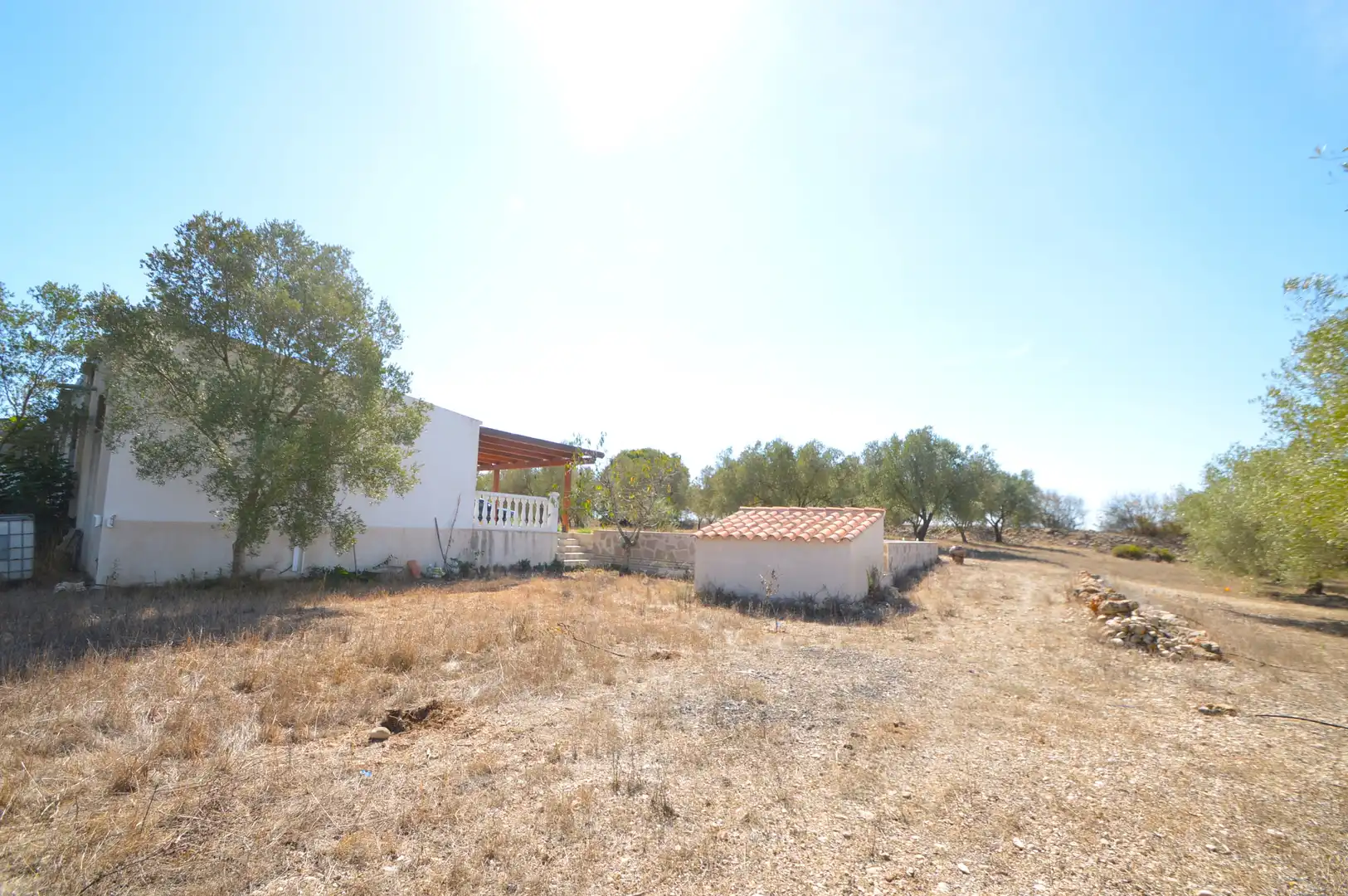 Rural land for sale in Ulldecona, imagen 25