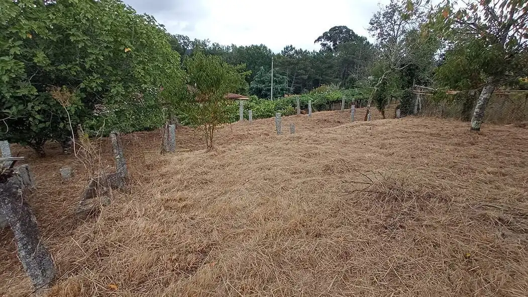 House for sale in Lugar A Laxe Cabreira, imagen 32