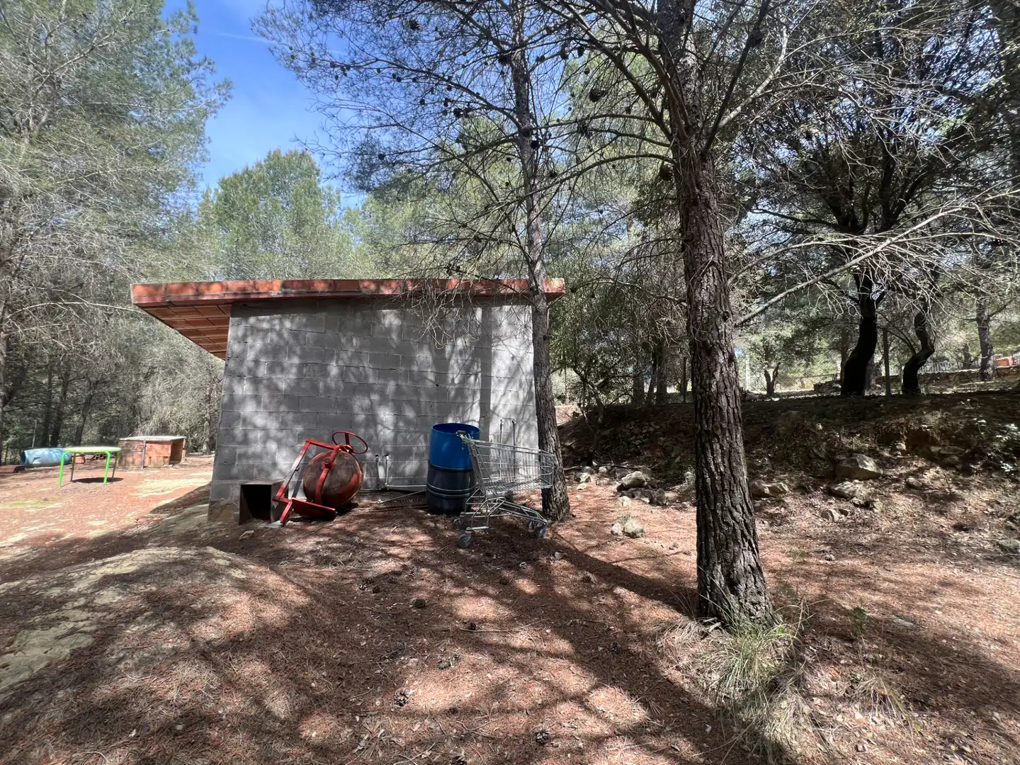 Terreno rústico en venta en Castellvell del Camp, imagen 14