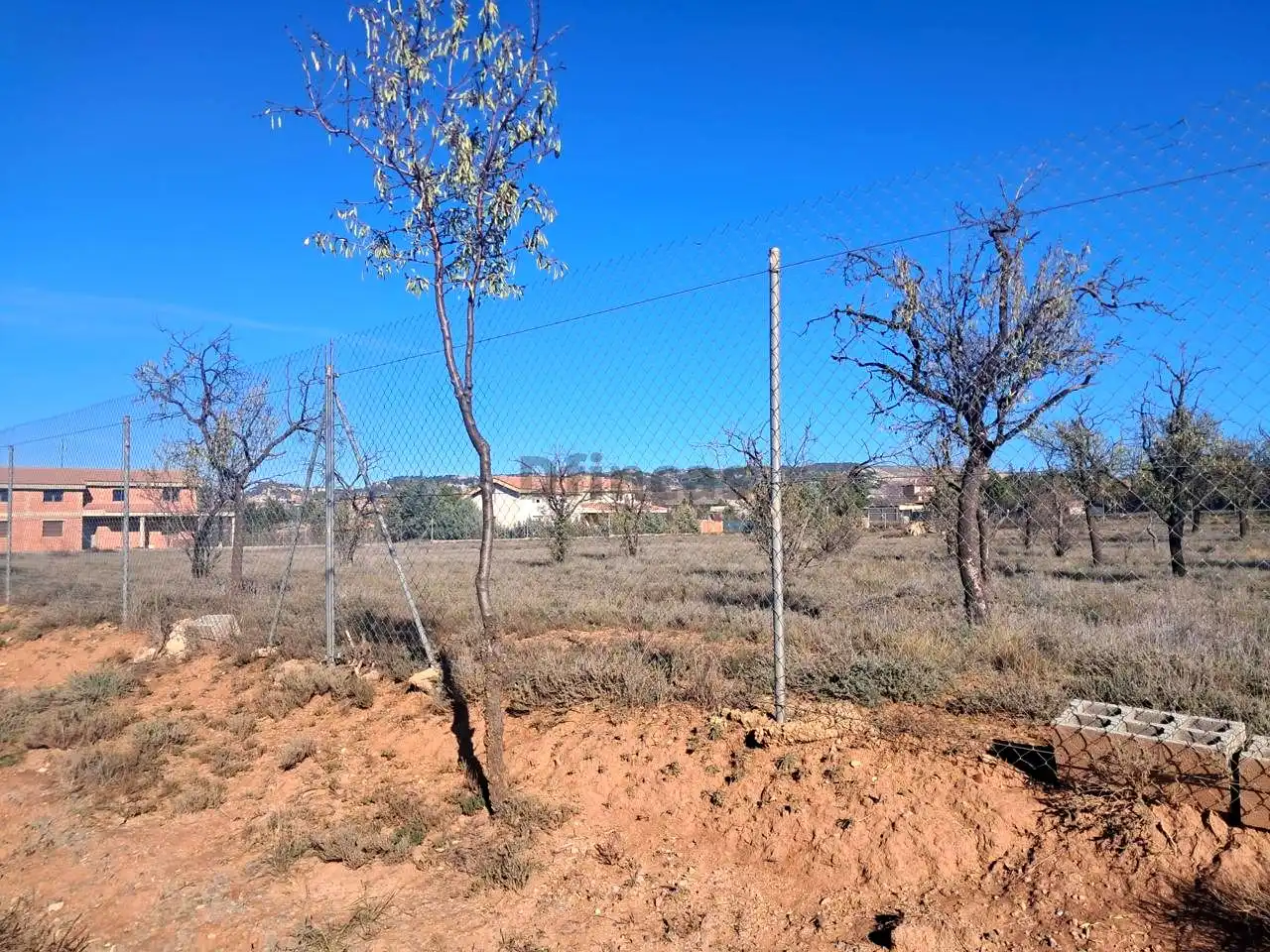 Terreni e lotti in vendita a A Valdelobos, imagen 4