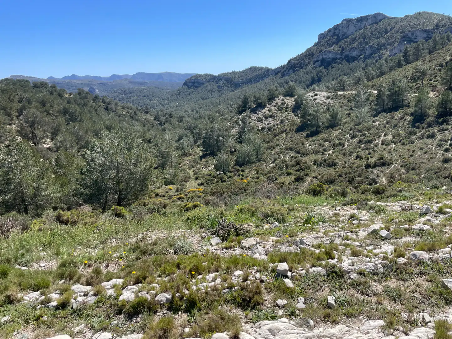 Terrain rustique à vendre à Tivissa, imagen 19