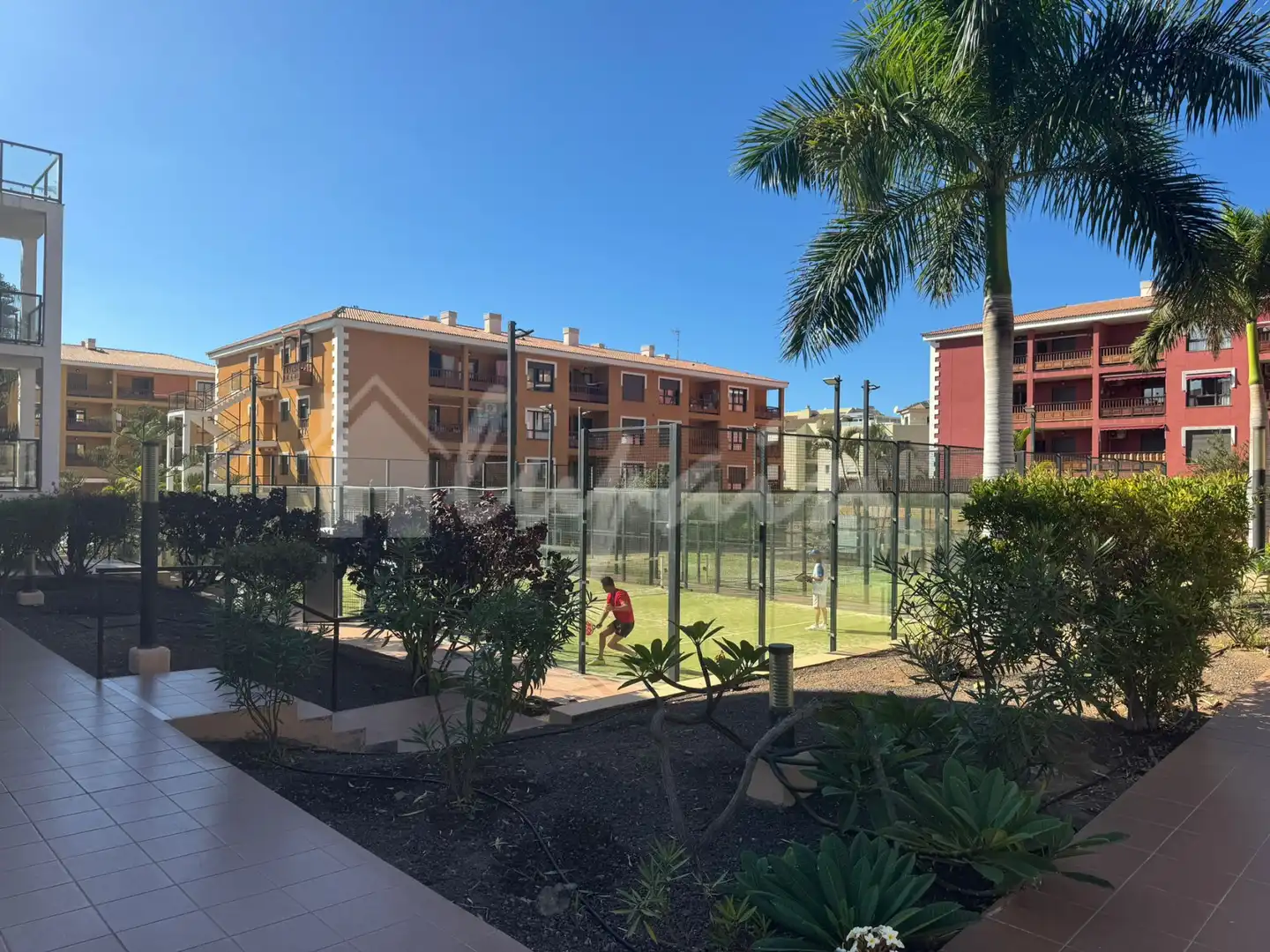 Exterior view of Apartments for sale in Palm - Mar