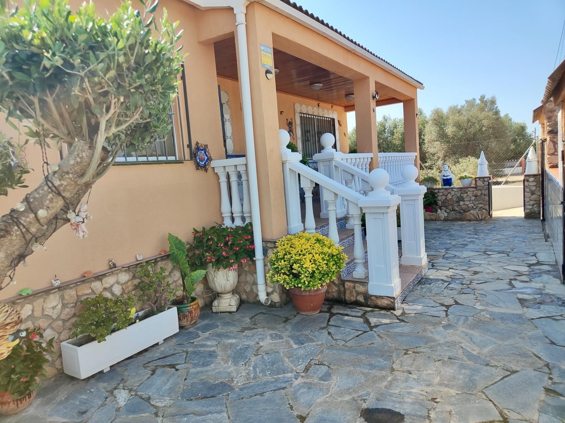 Vista exterior de Casa o xalet en venda en Montferri amb Aire condicionat, Jardí privat i Terrassa