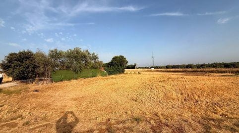 FINCA RÚSTICA CON PISCINA Y POZO LEGAL EN LA FUENCUBIERTA LA CARLOTA, imagen 3