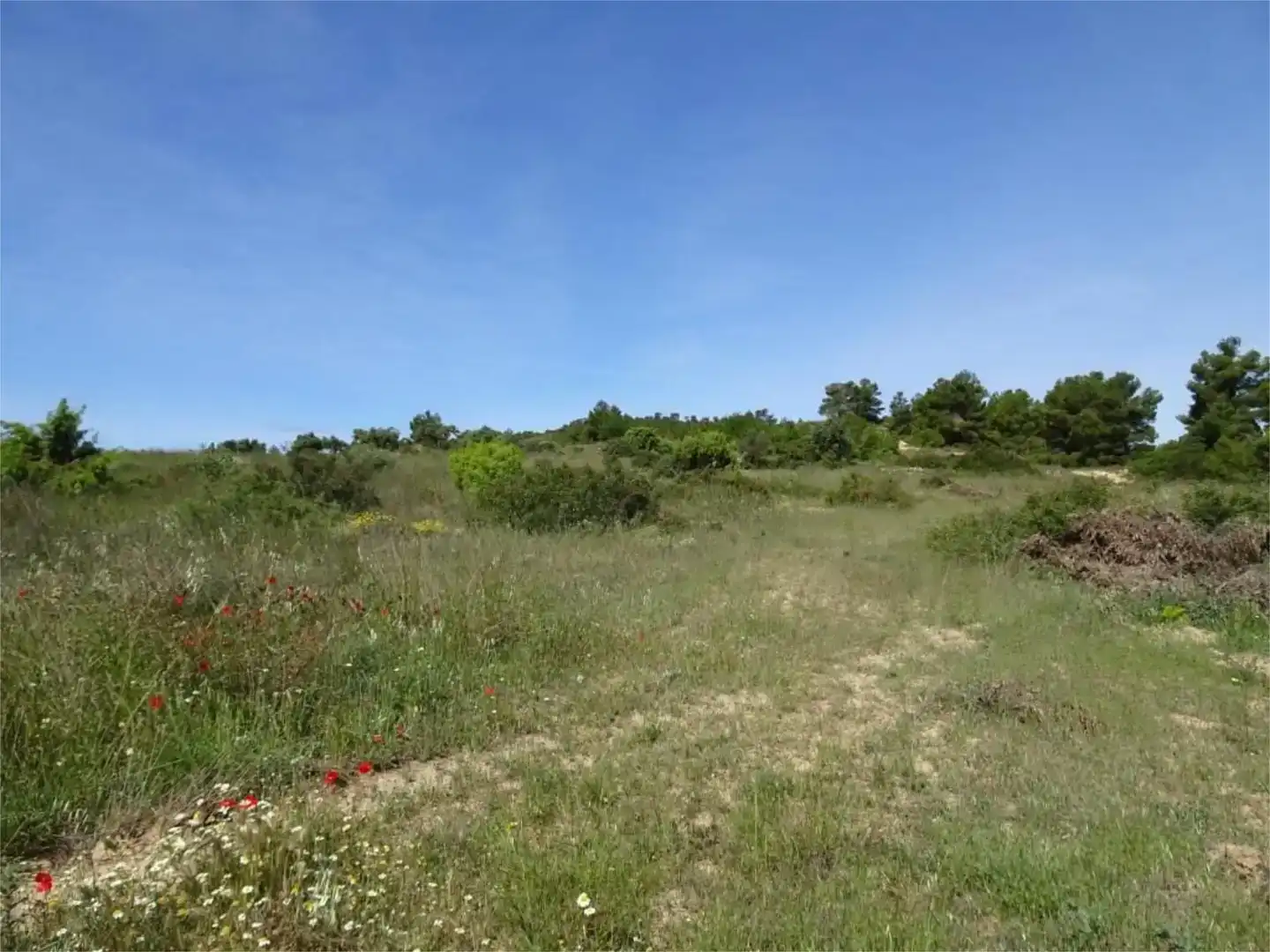 Land for sale in Batea
