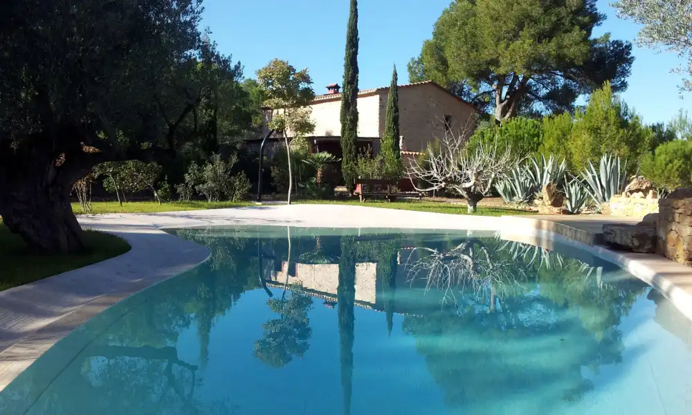 Swimming pool of Country homes for sale in Alcalà de Xivert  with Heating, Private garden and Swimming Pool