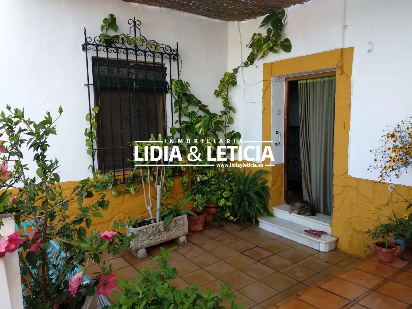 Casa amb piscina en venda a Oromana