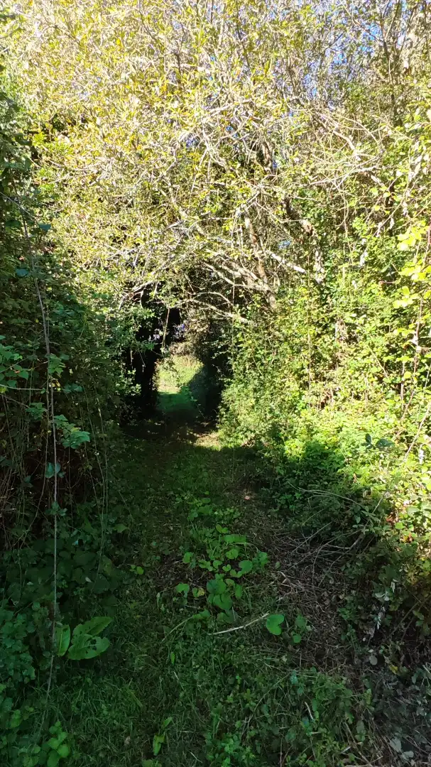 Land for sale in Sada (A Coruña)