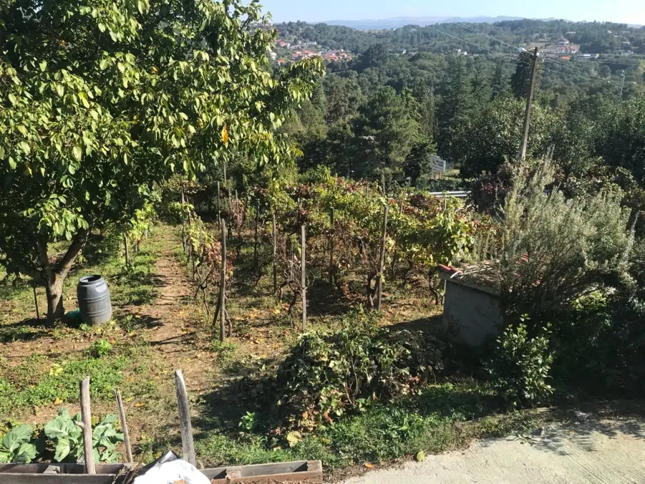 House with terrace for sale in O Pereiro de Aguiar, imagen 10