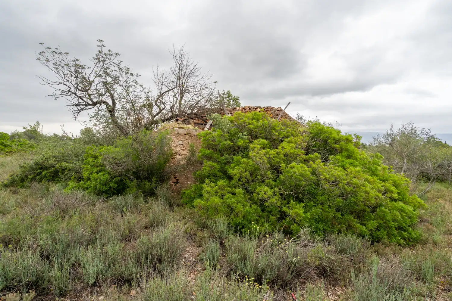 Terrain rustique à vendre à Camí Vell del Cementiri 4, imagen 4