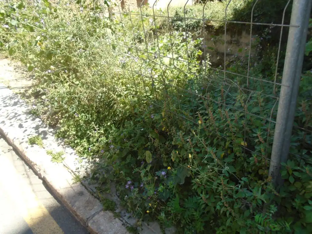 Grundstücke zum Verkauf in FORNS, Nou Eixample Sud