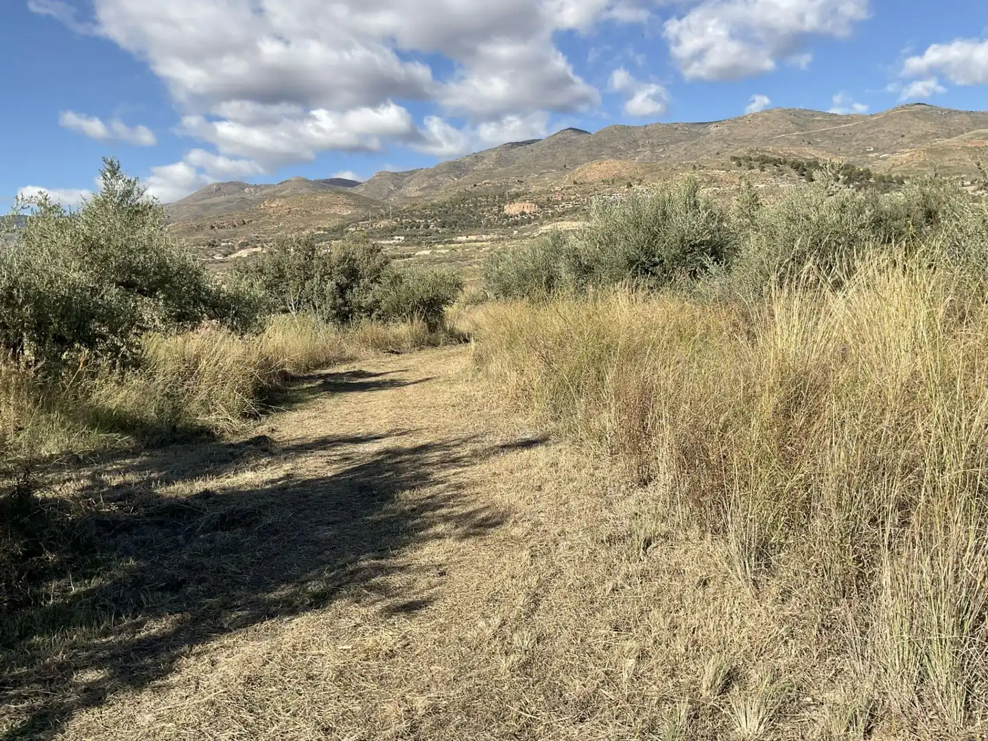 Land for sale in Padules