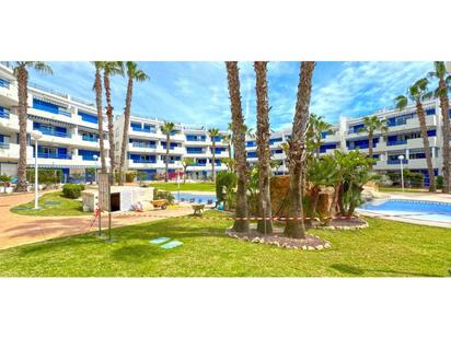 Vista exterior de Apartament en venda en Orihuela amb Terrassa, Moblat i Piscina comunitària